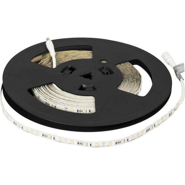 32' 48 watt 12 volt Natural White Waterproof Coated Tape Light